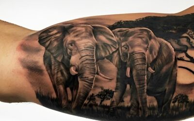 Pros and Cons of Black, Grey, and Colour Tattoos